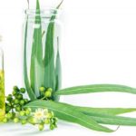 Aceite de eucalipto, beneficios y usos
