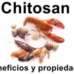 Beneficios del Chitosan para la salud