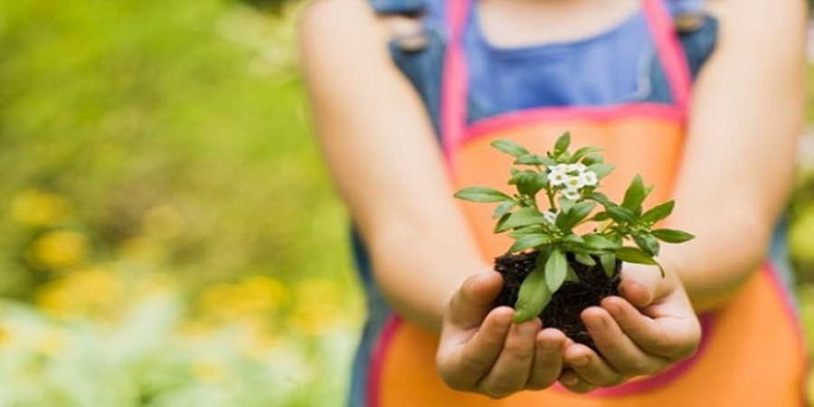 La importancia de las plantas para la salud