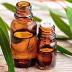 Mejora tu bienestar con aceite de eucalipto