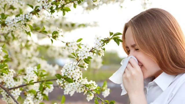 Alivia y mejora los síntomas de la alergia